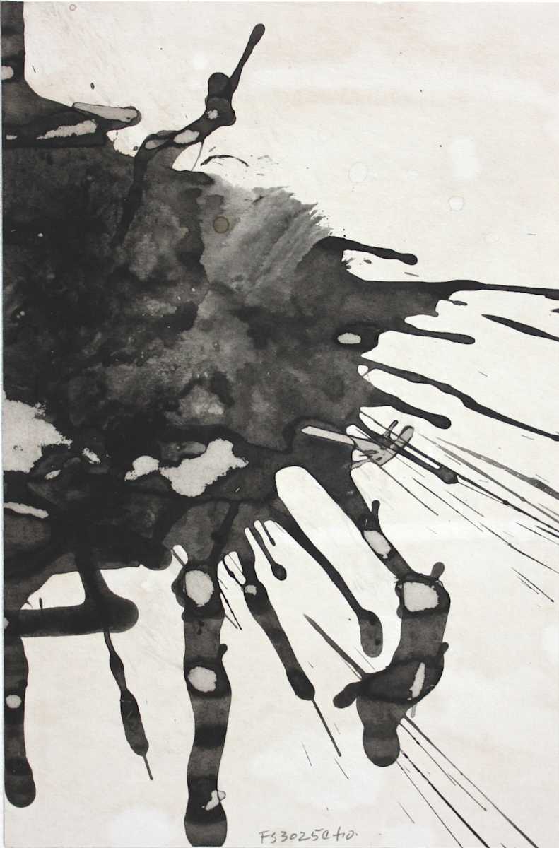 fs3025ct10 by Cecil Touchon, Image 1.
