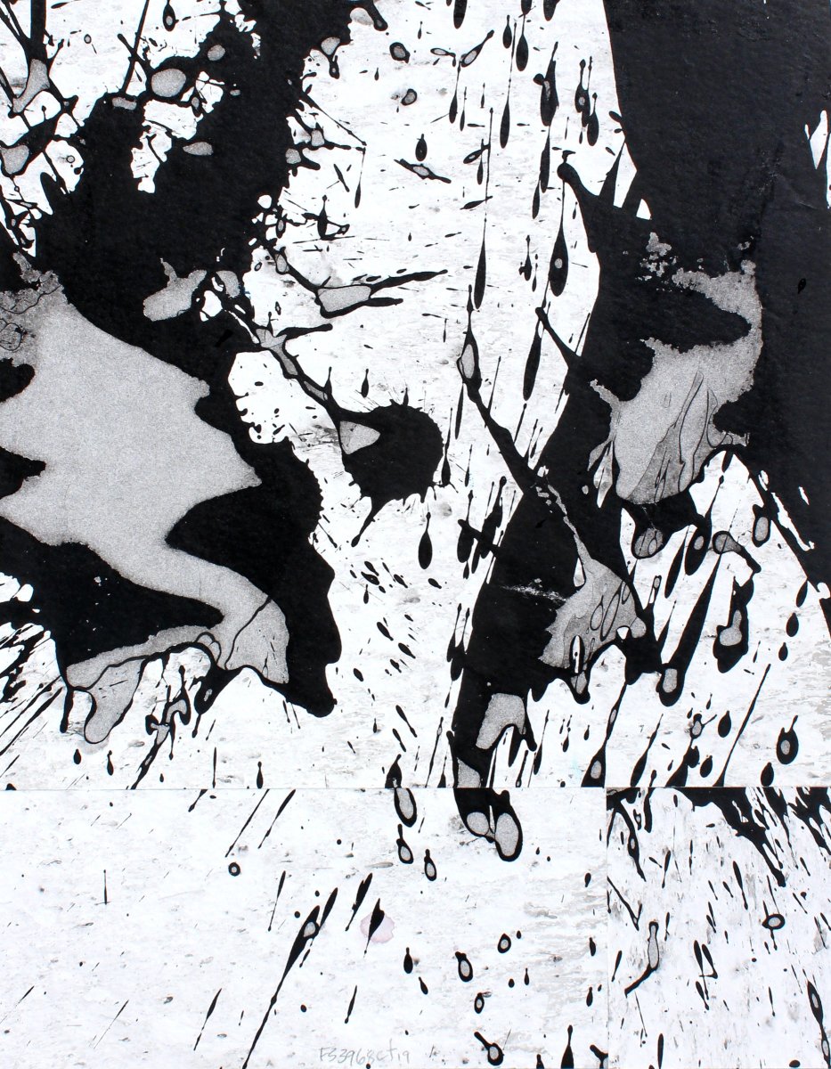 fs3968ct19 by Cecil Touchon 