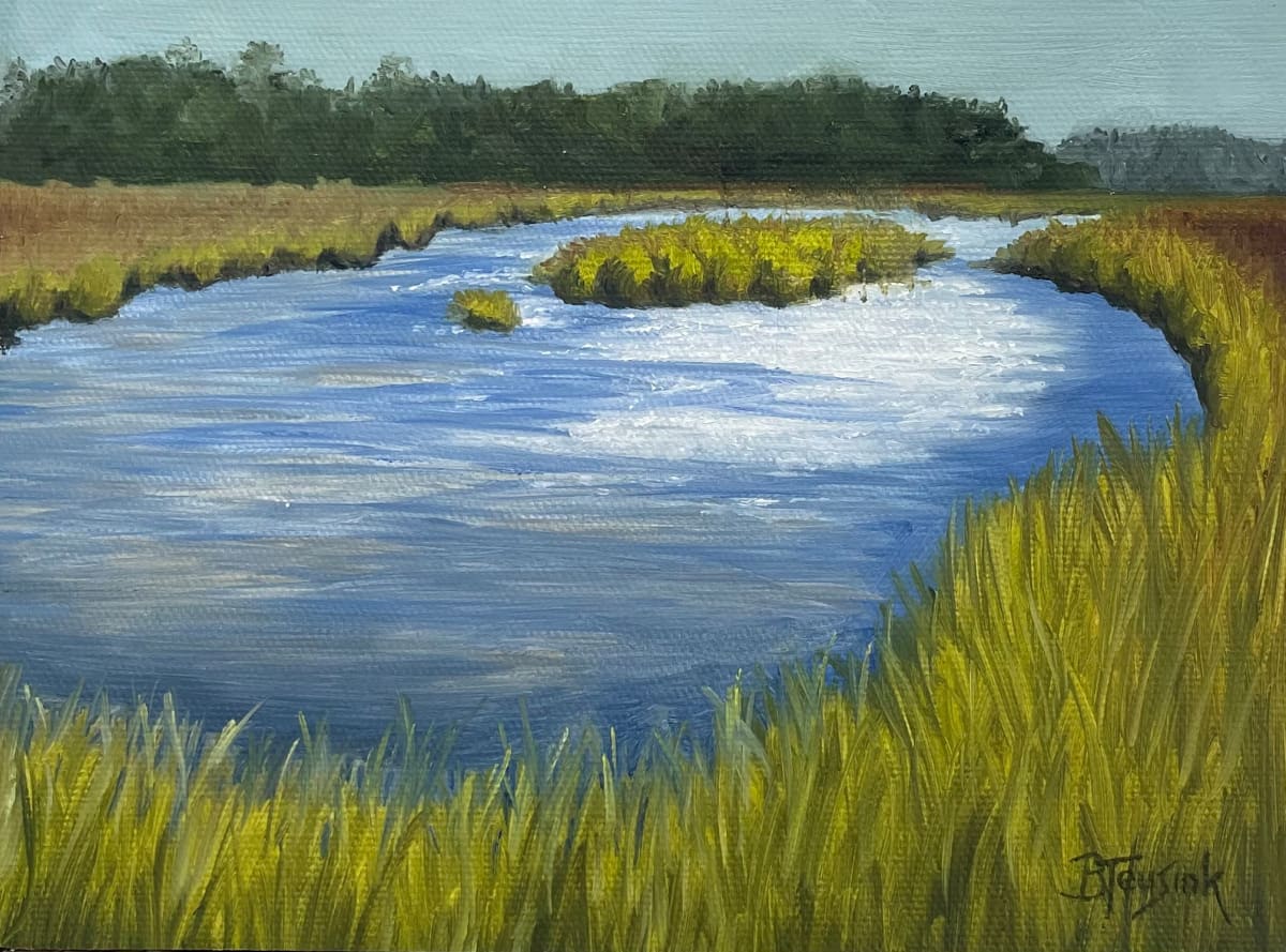 Reflective Marsh by Barbara Teusink 