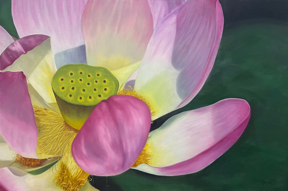 Luminous Lotus by Barbara Teusink 