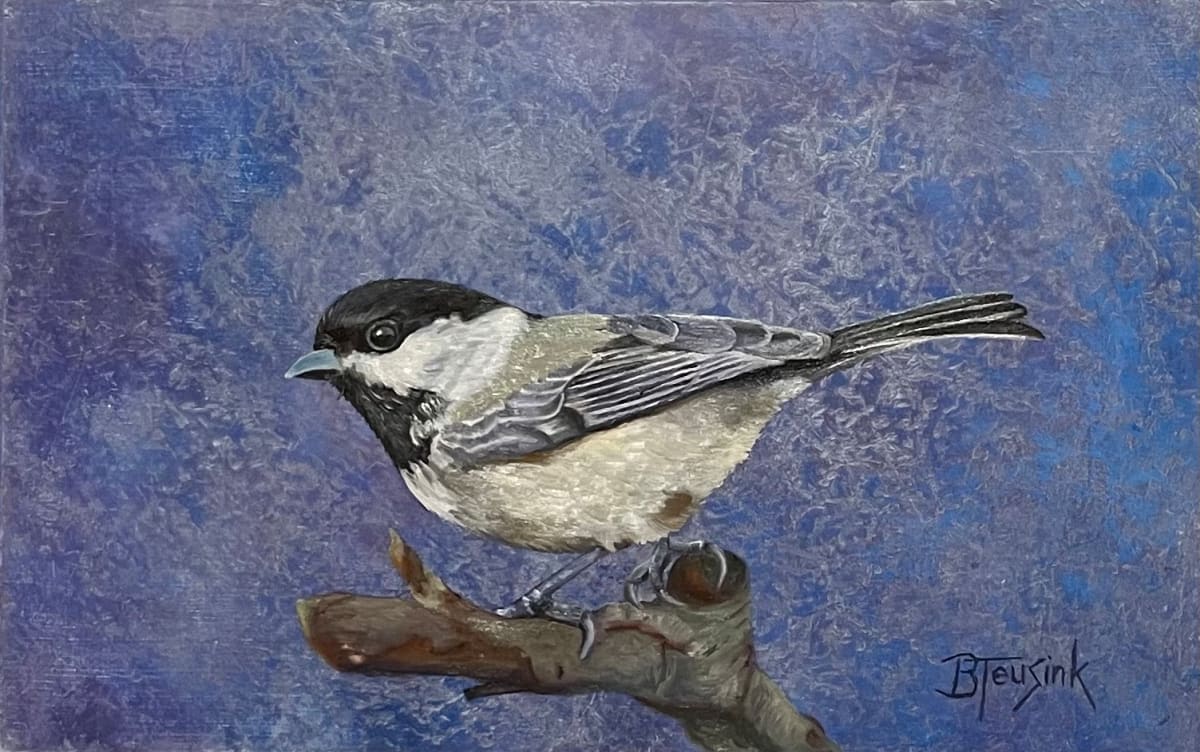 Black-Capped Chickadee by Barbara Teusink  Image: Black-Capped Chickadee by Barbara Teusink