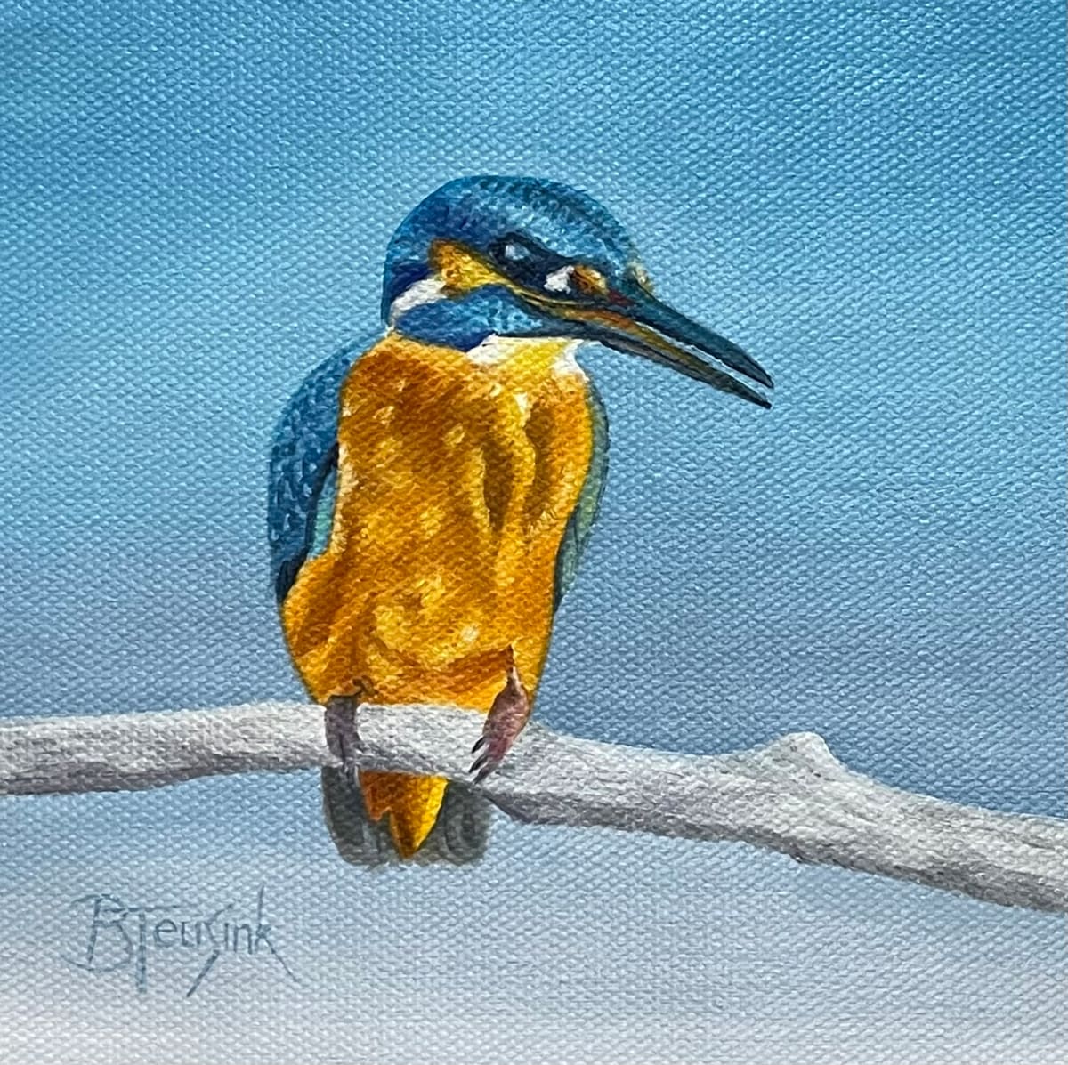 Kingfisher by Barbara Teusink 