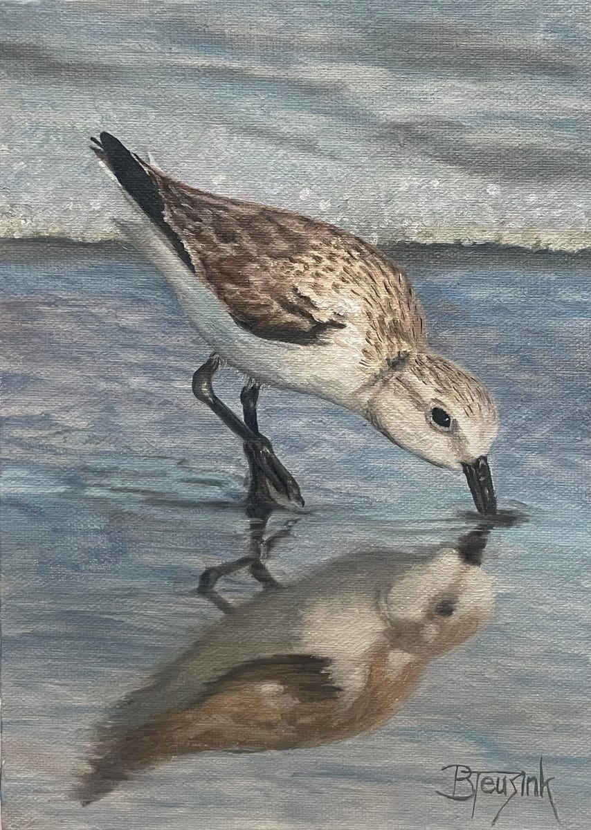 Sandpiper Reflections by Barbara Teusink 