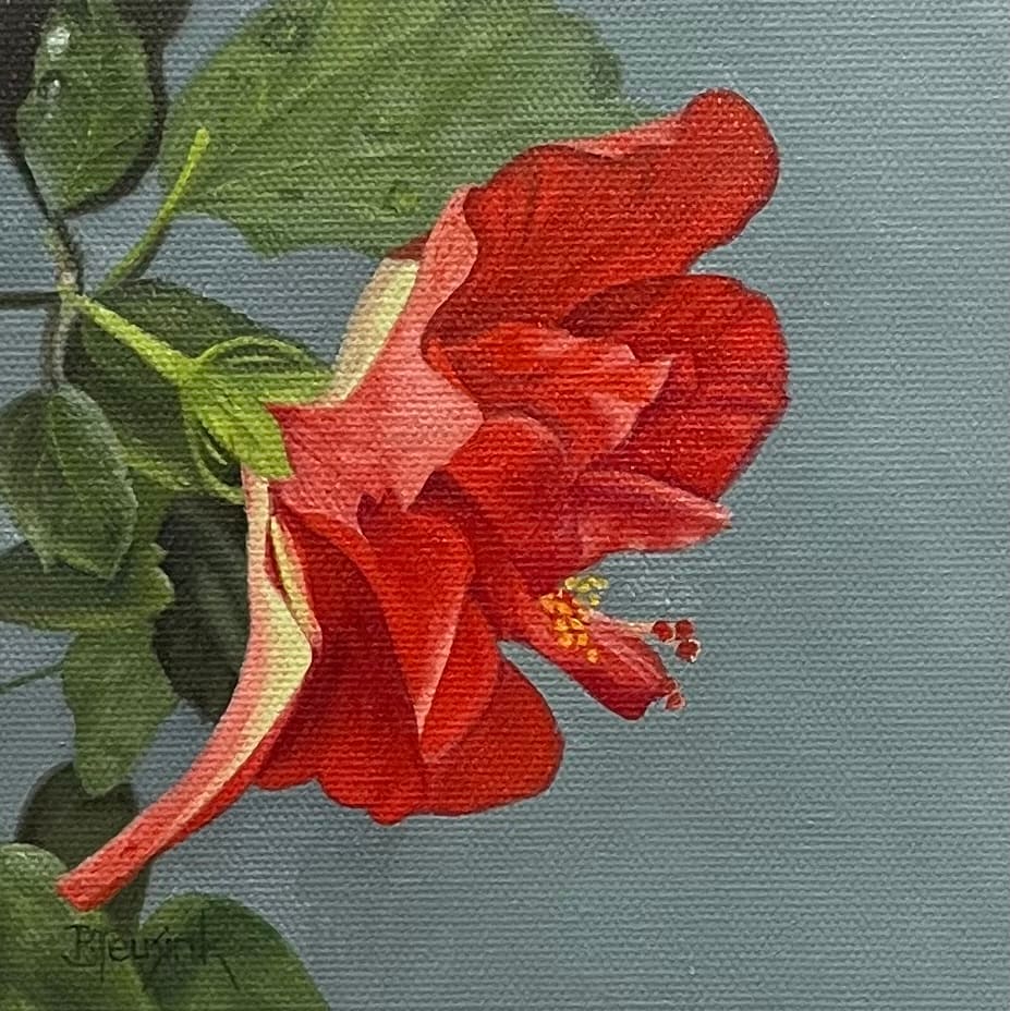 Hanging Red Hibiscus by Barbara Teusink 