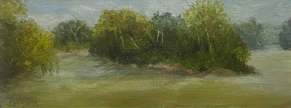 Broad River Mini by Barbara Teusink 