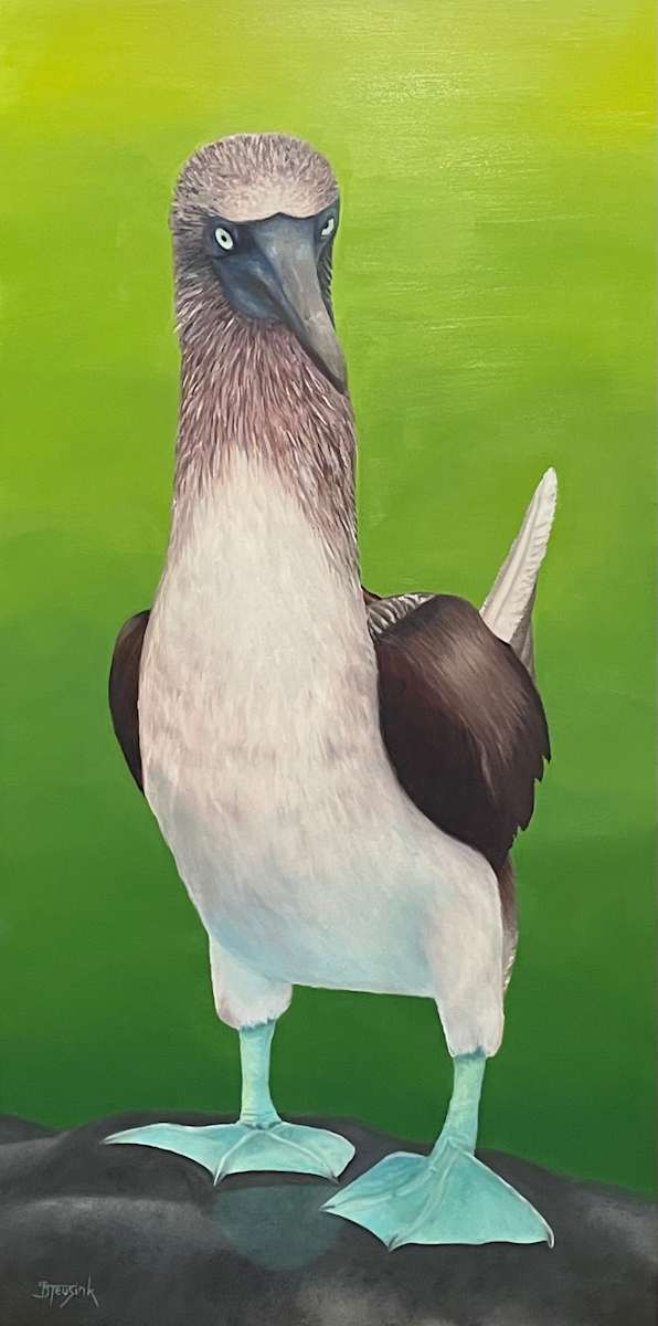 Booby by Barbara Teusink 