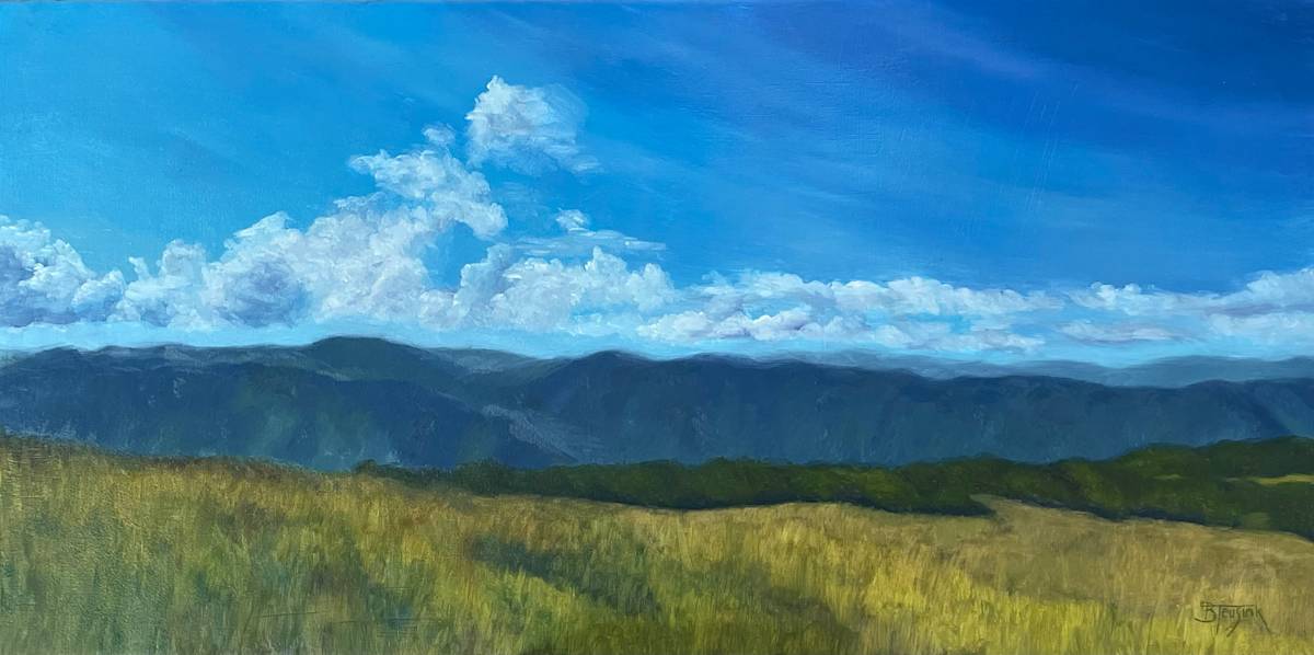 The Bald View by Barbara Teusink 