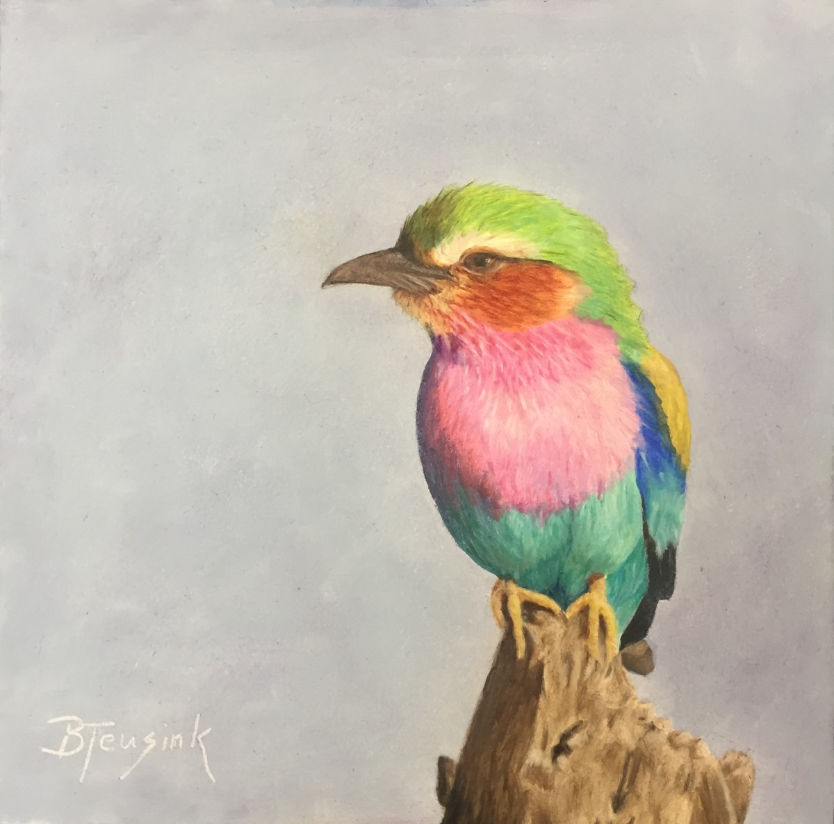 Lilac Breasted Roller by Barbara Teusink 