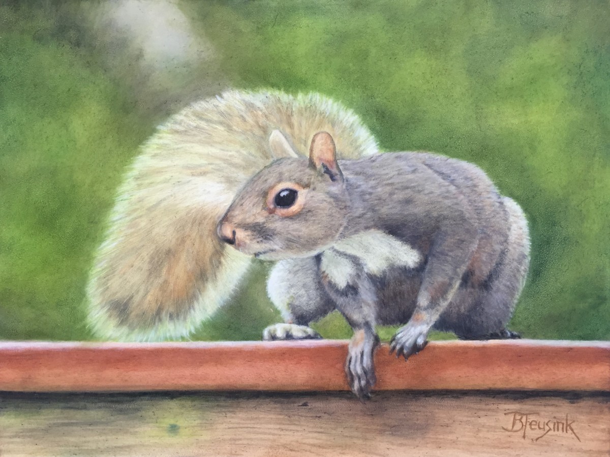 Squirrel! (Phoebe's Addiction) by Barbara Teusink 