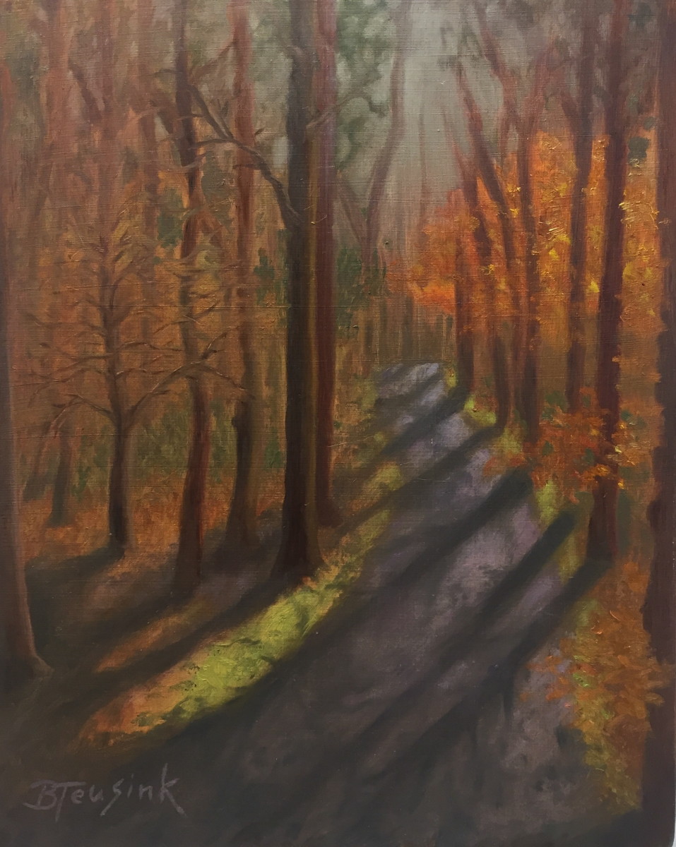 Givhans Ferry Fire Road by Barbara Teusink 