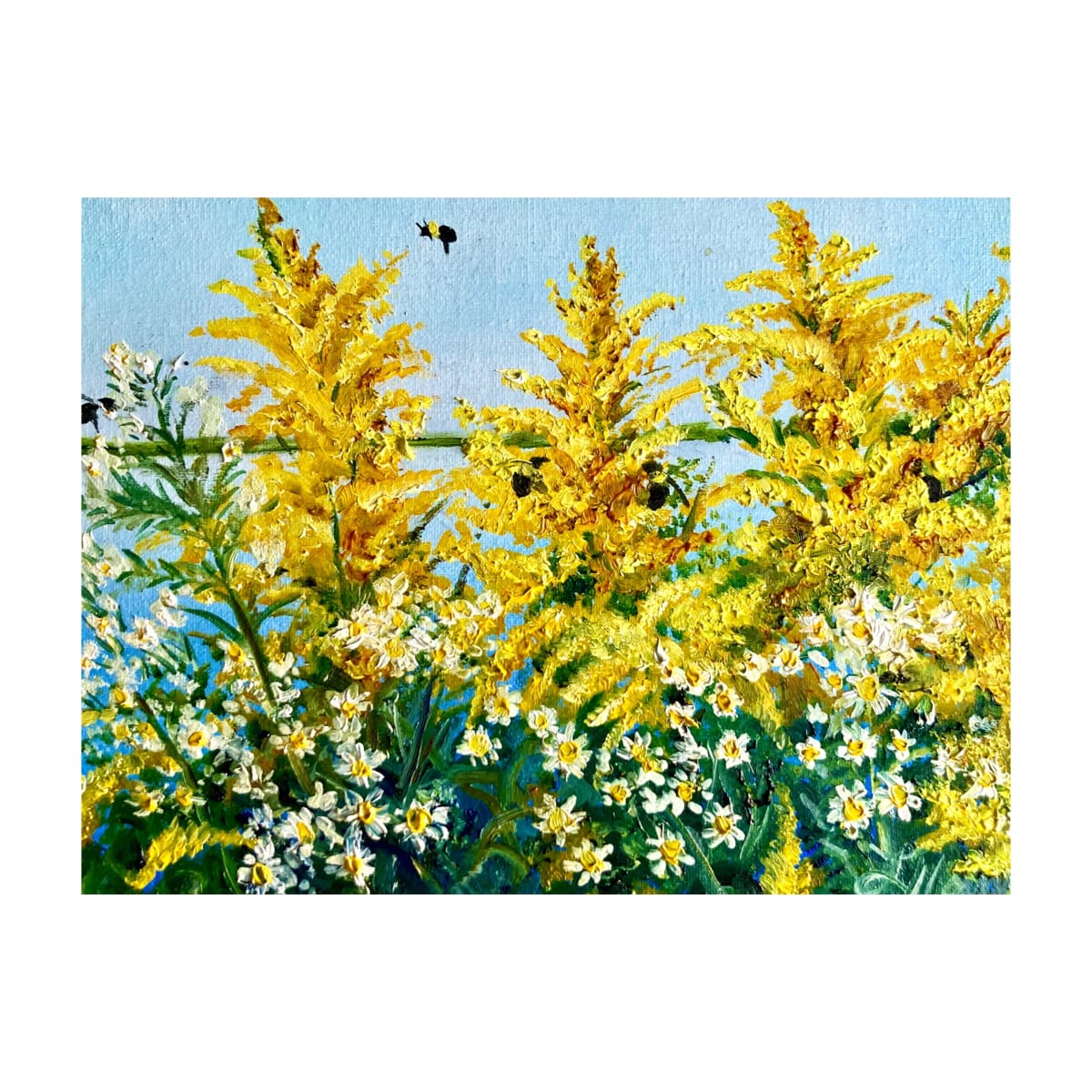 Golden Rod 