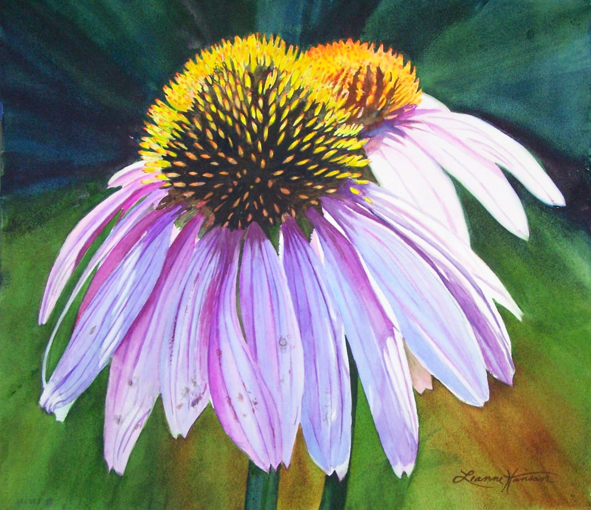 Cone Flower by Leanne Hanson 