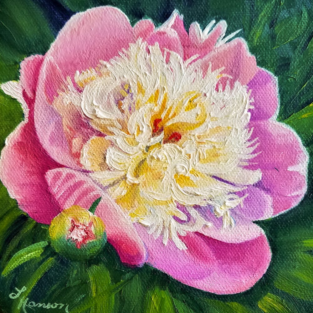 Peony by Leanne Hanson 