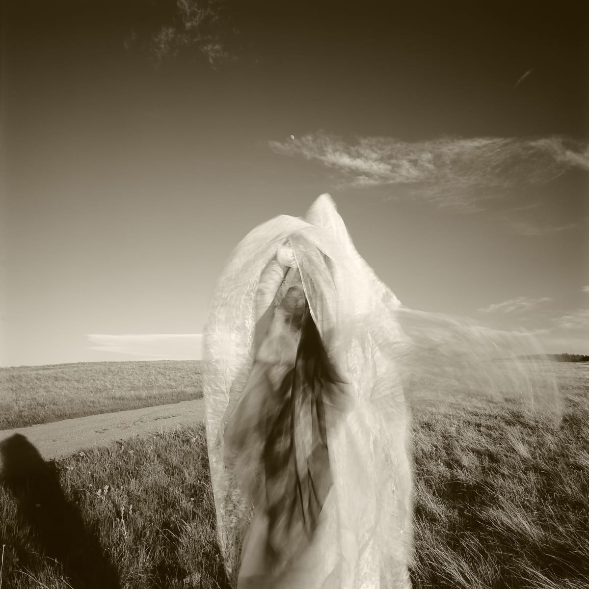 Wyoming | Susan by Susan Moldenhauer, Image 1.