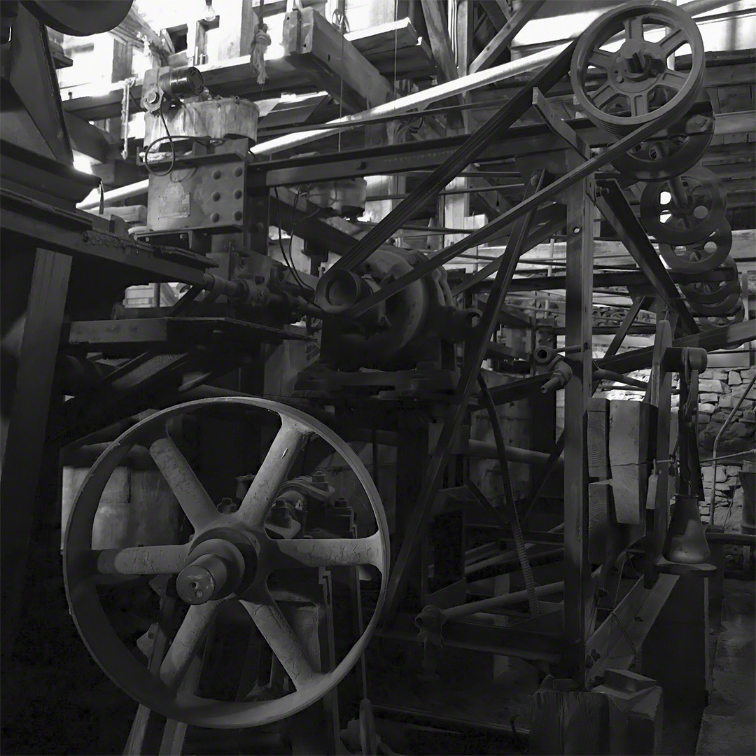 Cocaphony by Susan Moldenhauer 