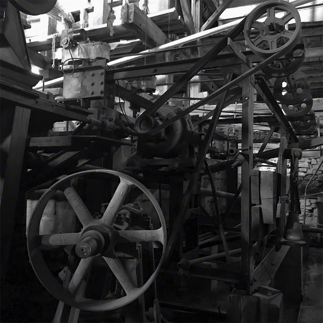 Cocaphony by Susan Moldenhauer, Image 1.