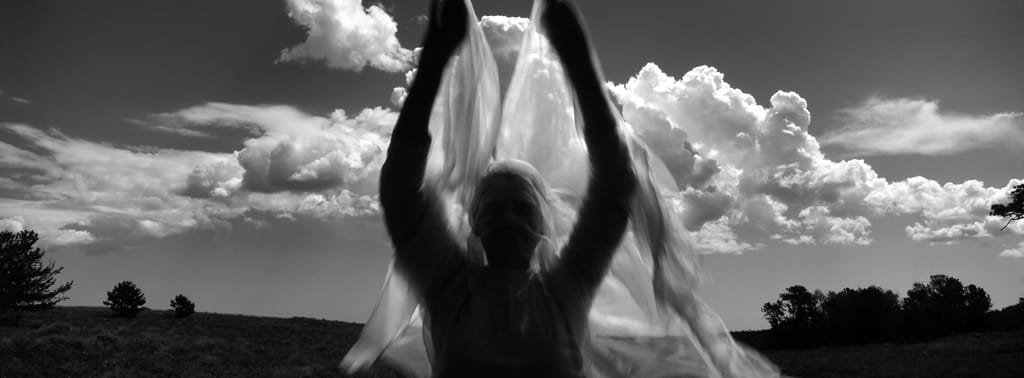 Winged by Susan Moldenhauer, Image 1.