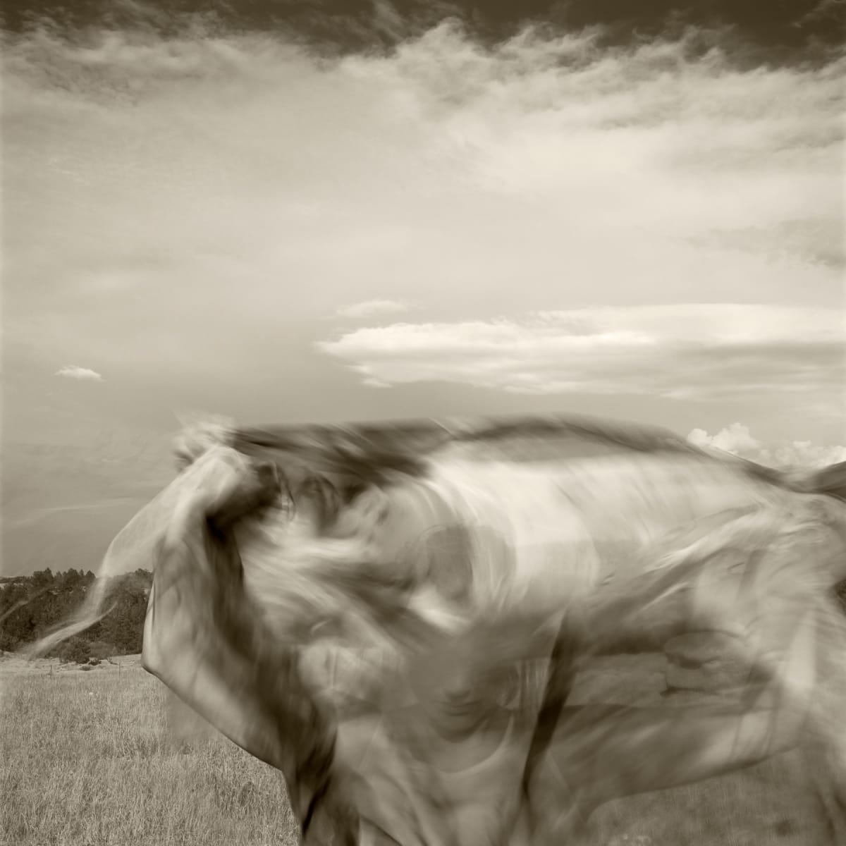 Wyoming | Susan by Susan Moldenhauer, Image 1.