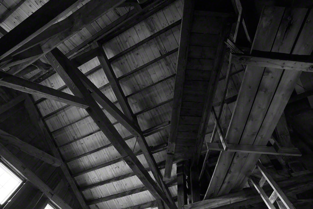Symmetry by Susan Moldenhauer, Image 1.