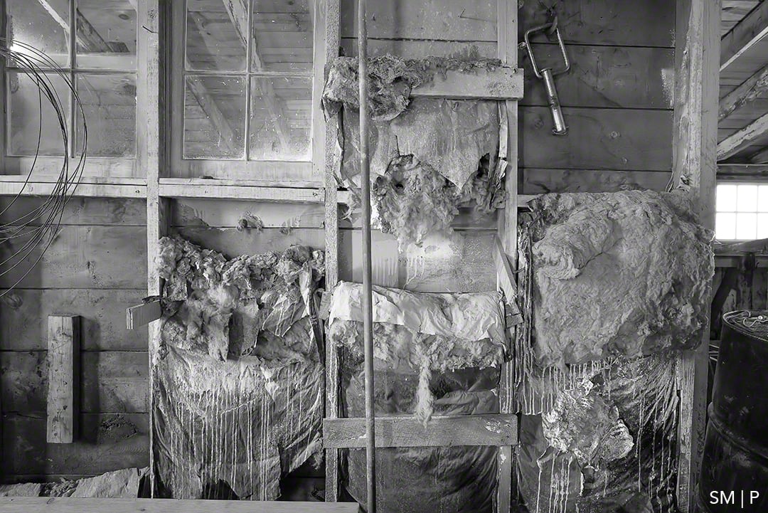 Euphony by Susan Moldenhauer, Image 1.