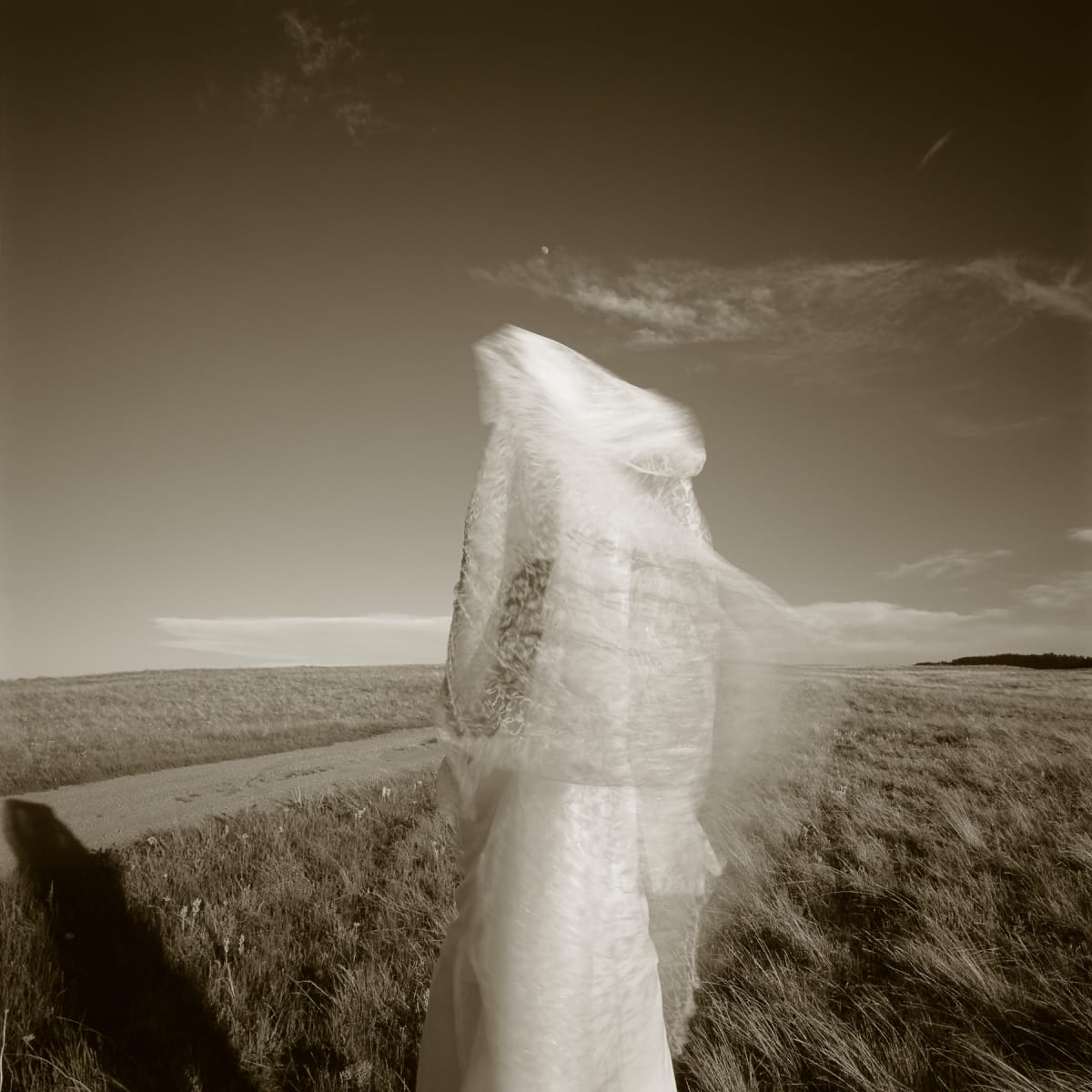 Wyoming | Susan by Susan Moldenhauer, Image 1.