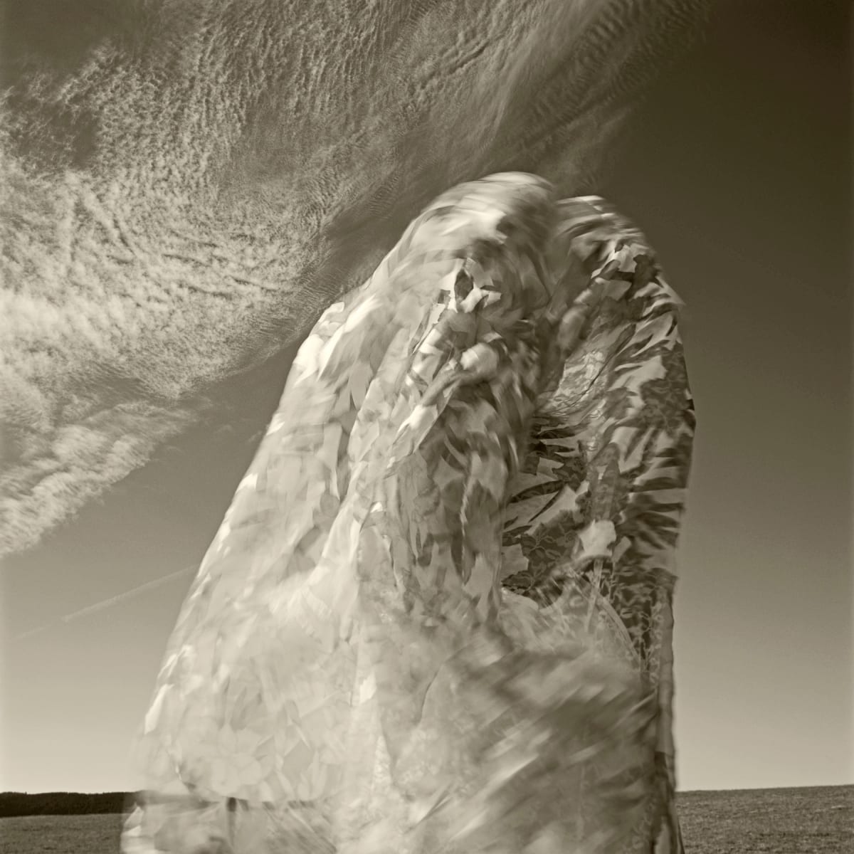 Wyoming | Susan by Susan Moldenhauer, Image 1.
