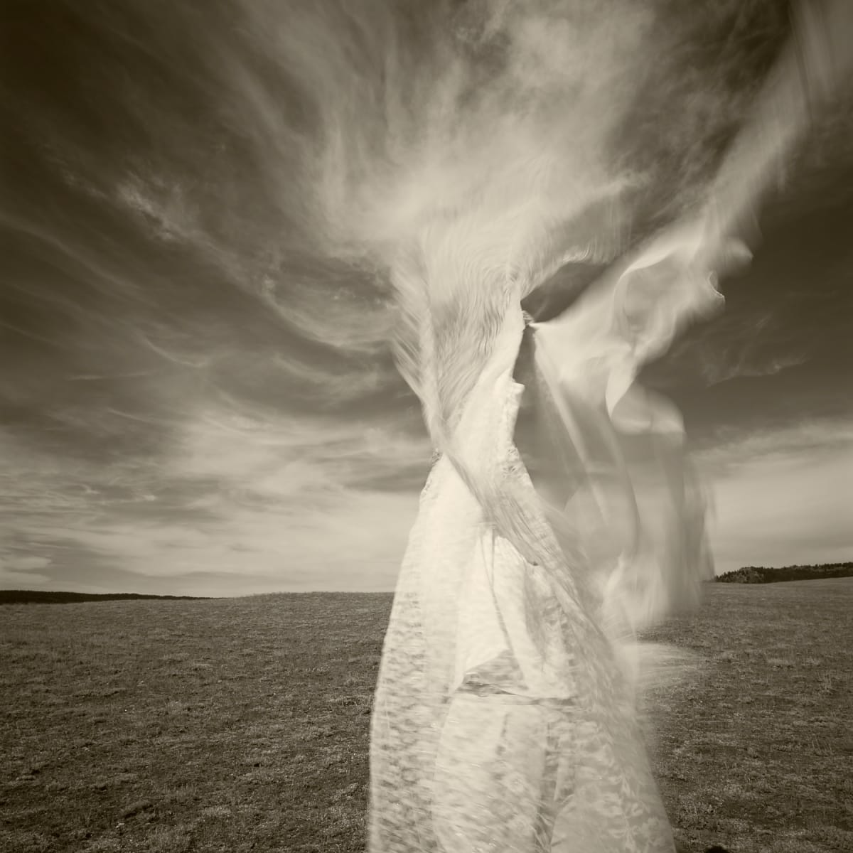 Wyoming | Susan by Susan Moldenhauer, Image 2.