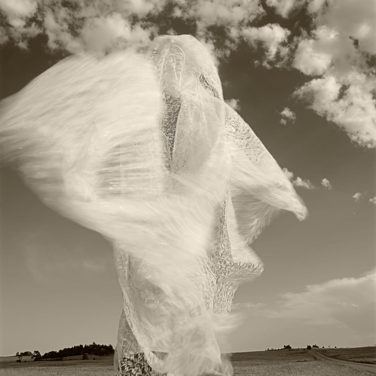 Wyoming | Susan by Susan Moldenhauer, Image 1.