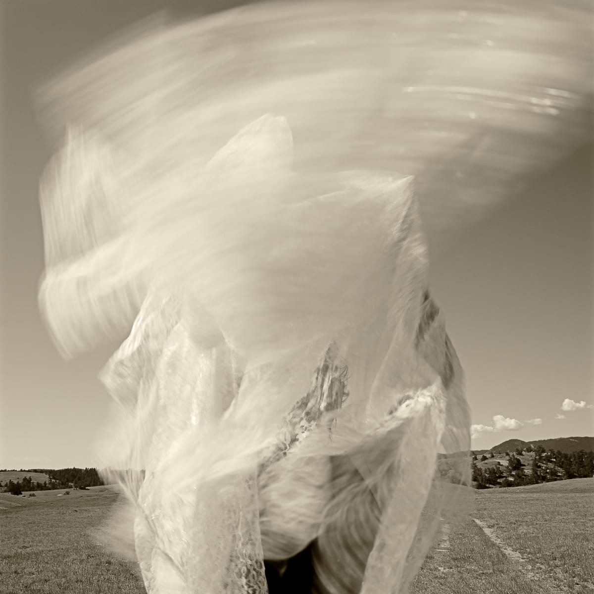 Wyoming | Susan by Susan Moldenhauer, Image 1.