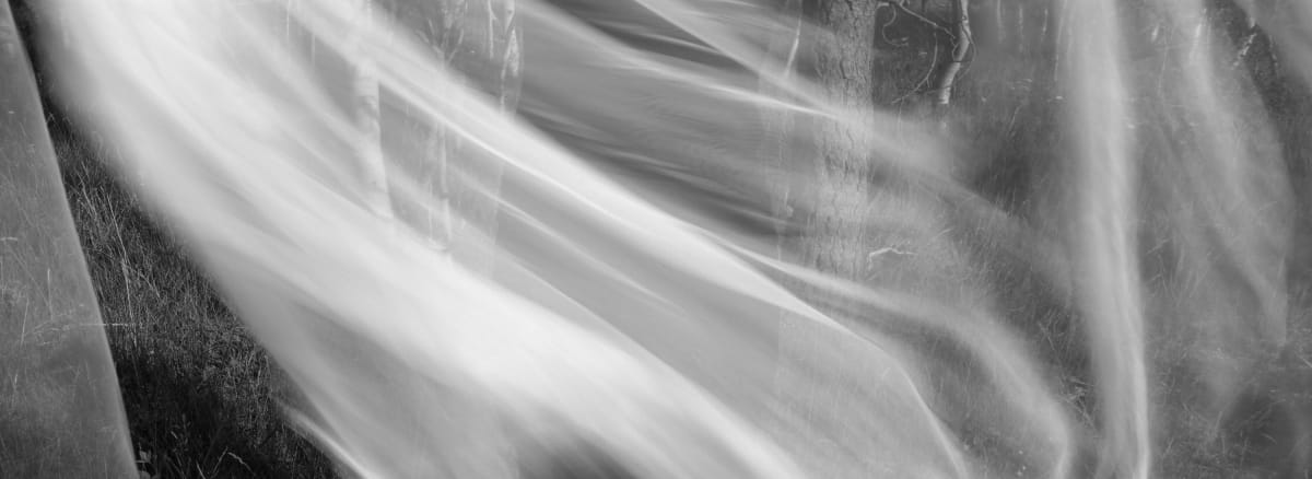 Breathe by Susan Moldenhauer, Image 1.