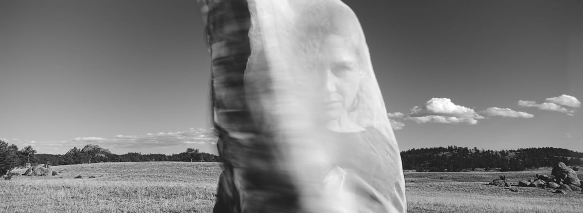 Cocoon by Susan Moldenhauer, Image 1.