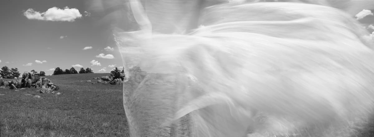 Mirage by Susan Moldenhauer, Image 1.