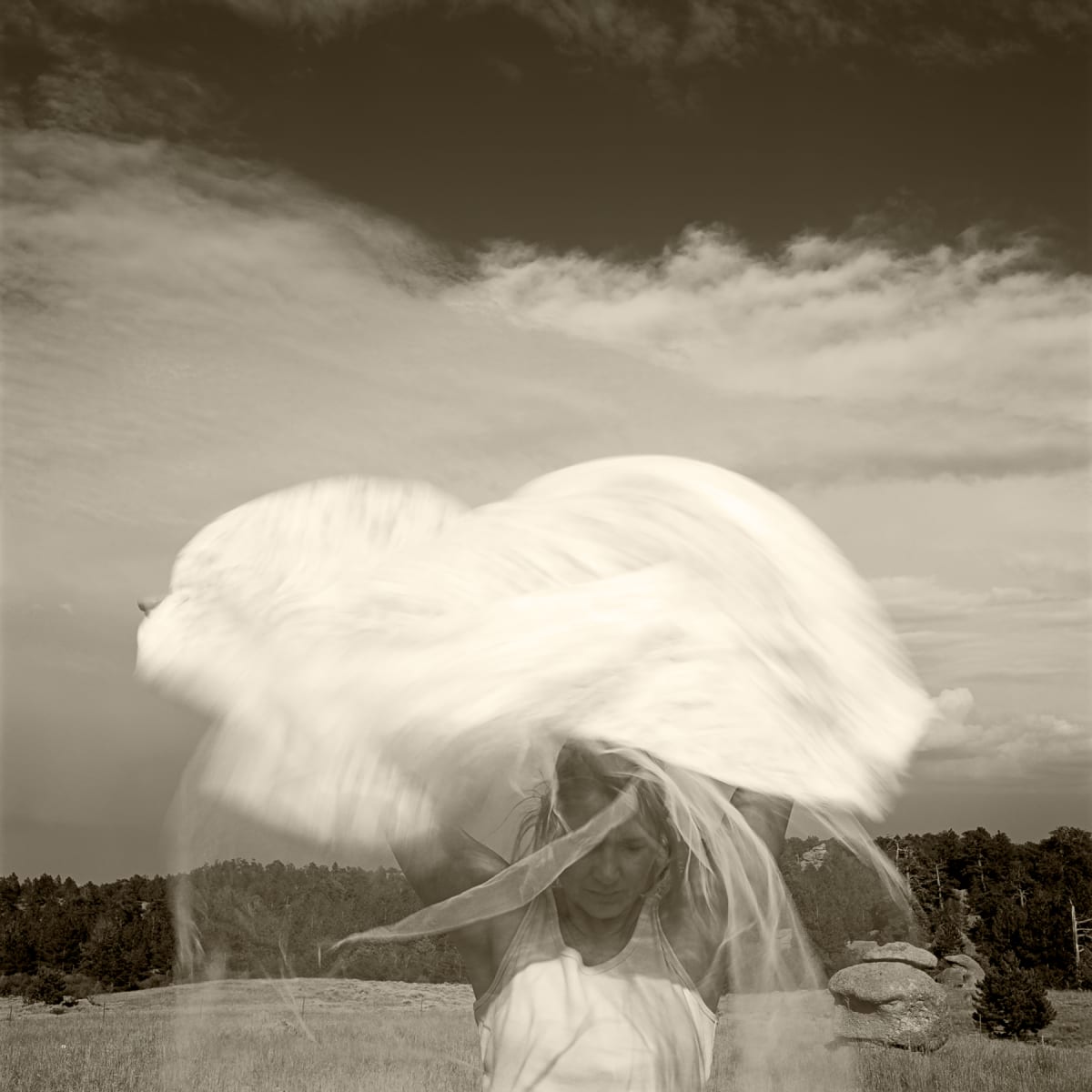 Wyoming | Susan by Susan Moldenhauer 