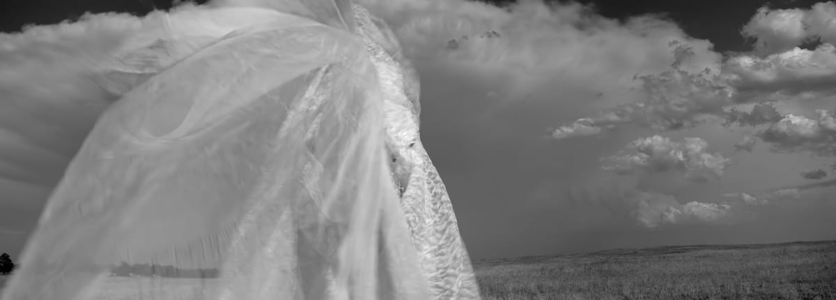 Medicine Bow NF (Susan), Wyoming 2005, Image 2.