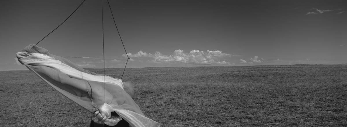 Medicine Bow NF (Margaret), Wyoming 2005 by Susan Moldenhauer, Image 2.