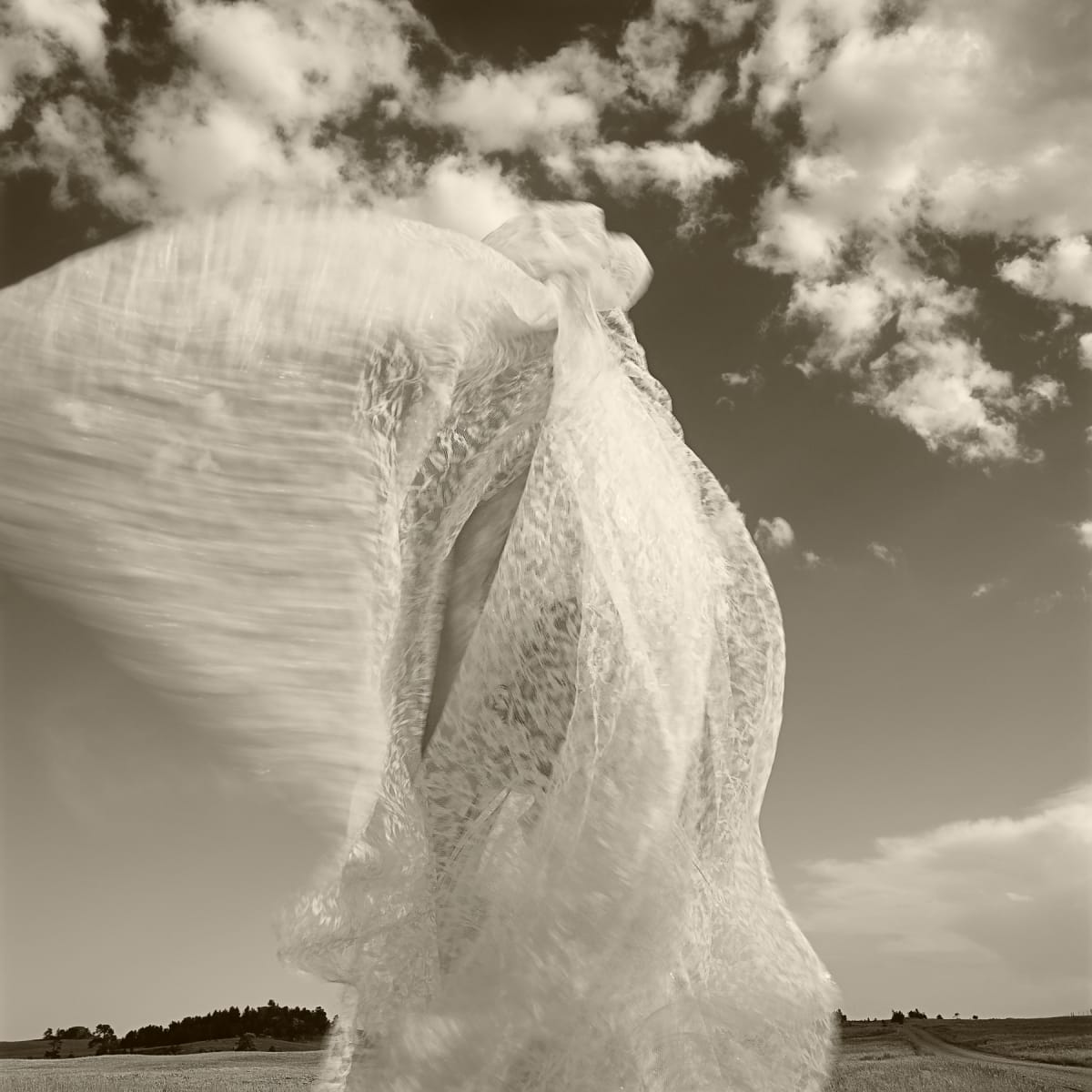Wyoming | Susan by Susan Moldenhauer, Image 1.