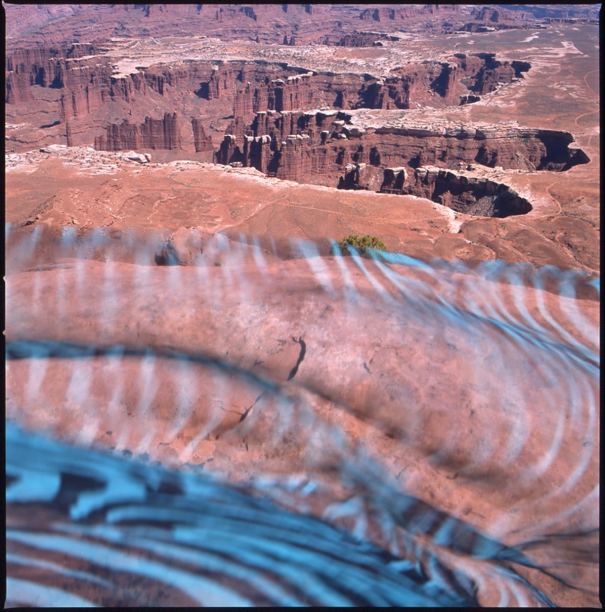 Deadhorse Canyon Overlook, Utah 1989 by Susan Moldenhauer 