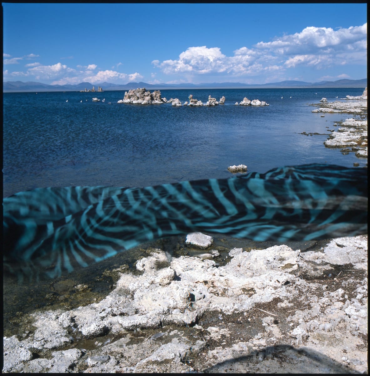 Mono Lake, California 1989 by Susan Moldenhauer 