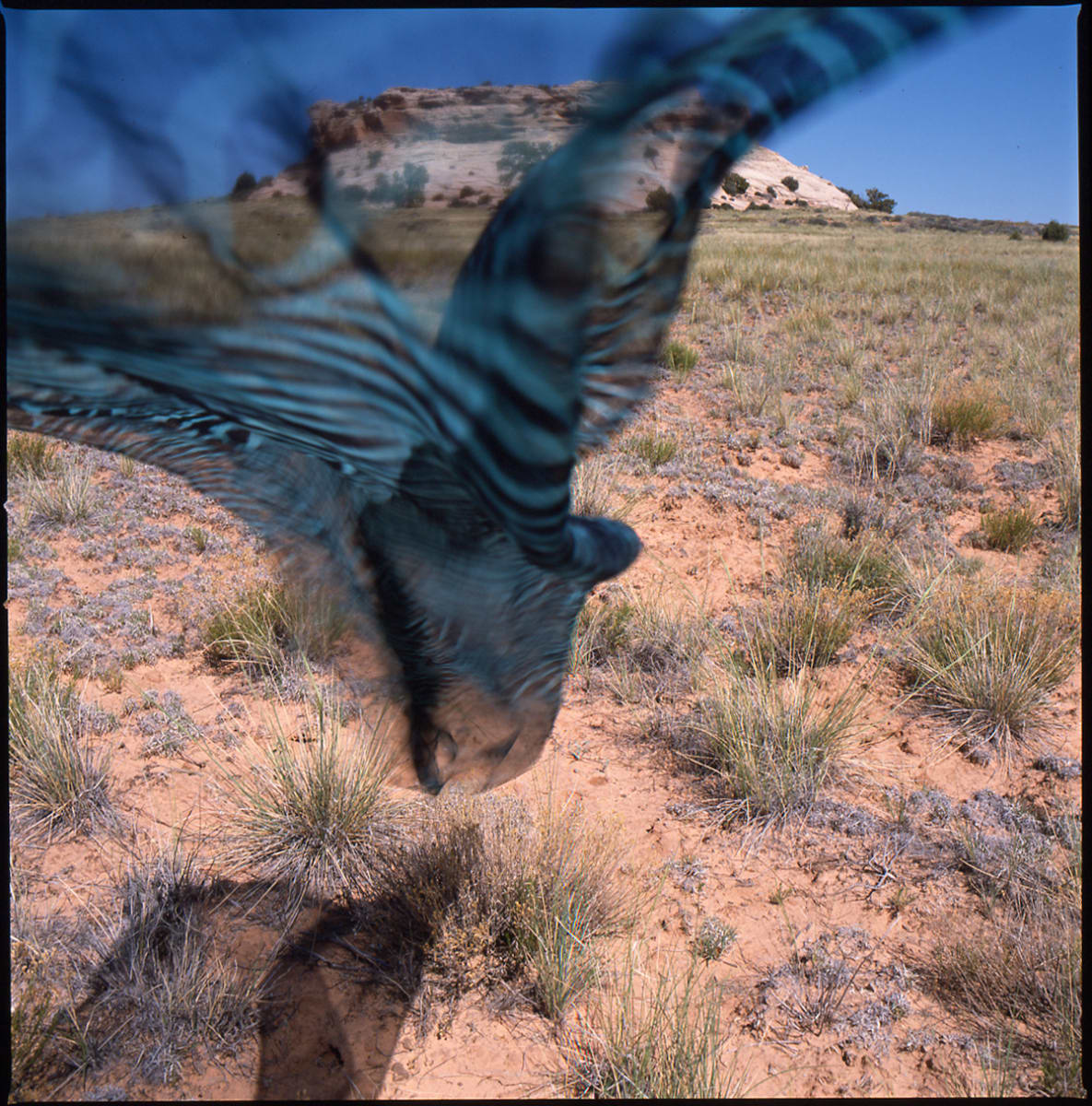 Mesa, Island in the Sky, Utah 1990 by Susan Moldenhauer, Image 1.