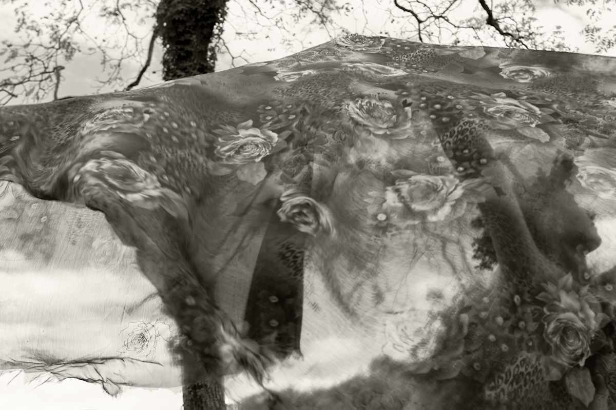 Bethany by Susan Moldenhauer 