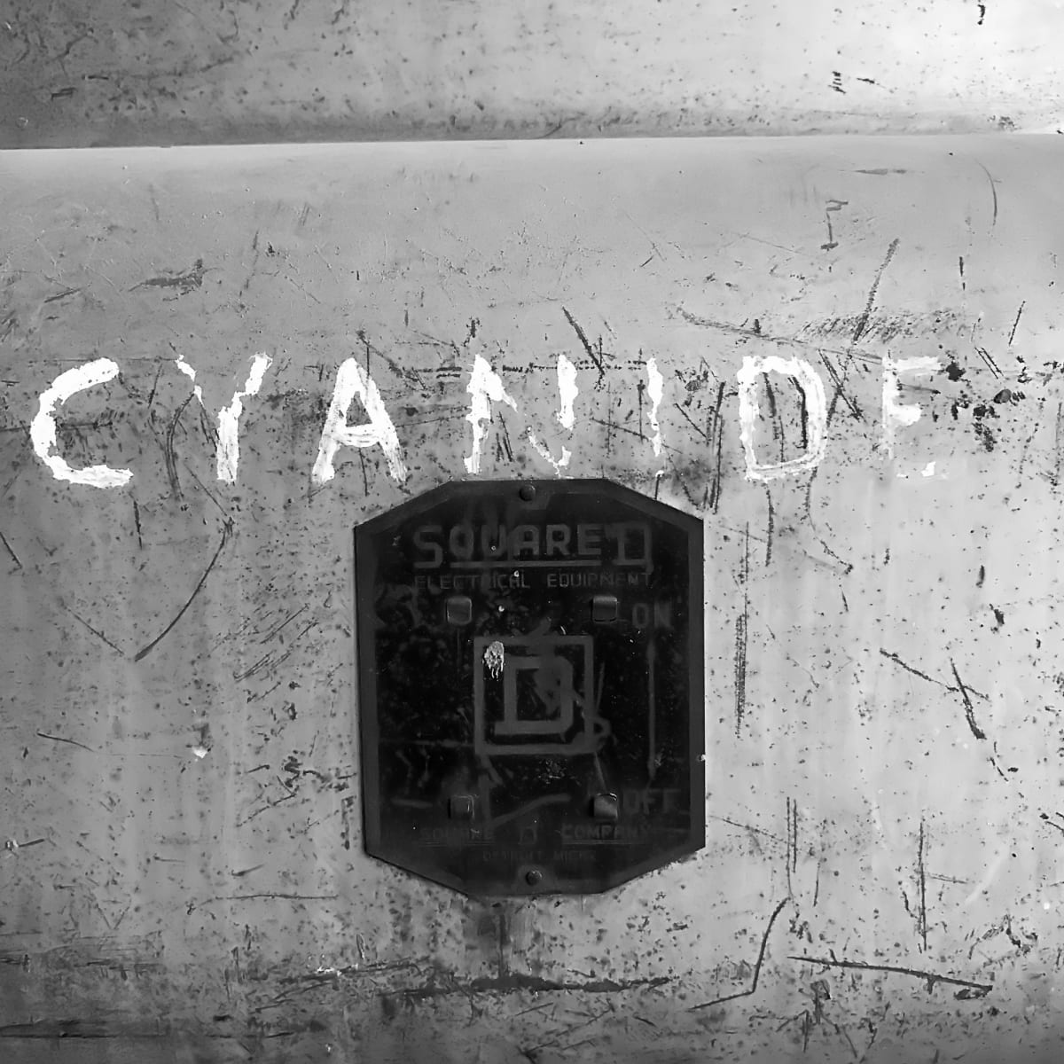 Cyanide by Susan Moldenhauer 