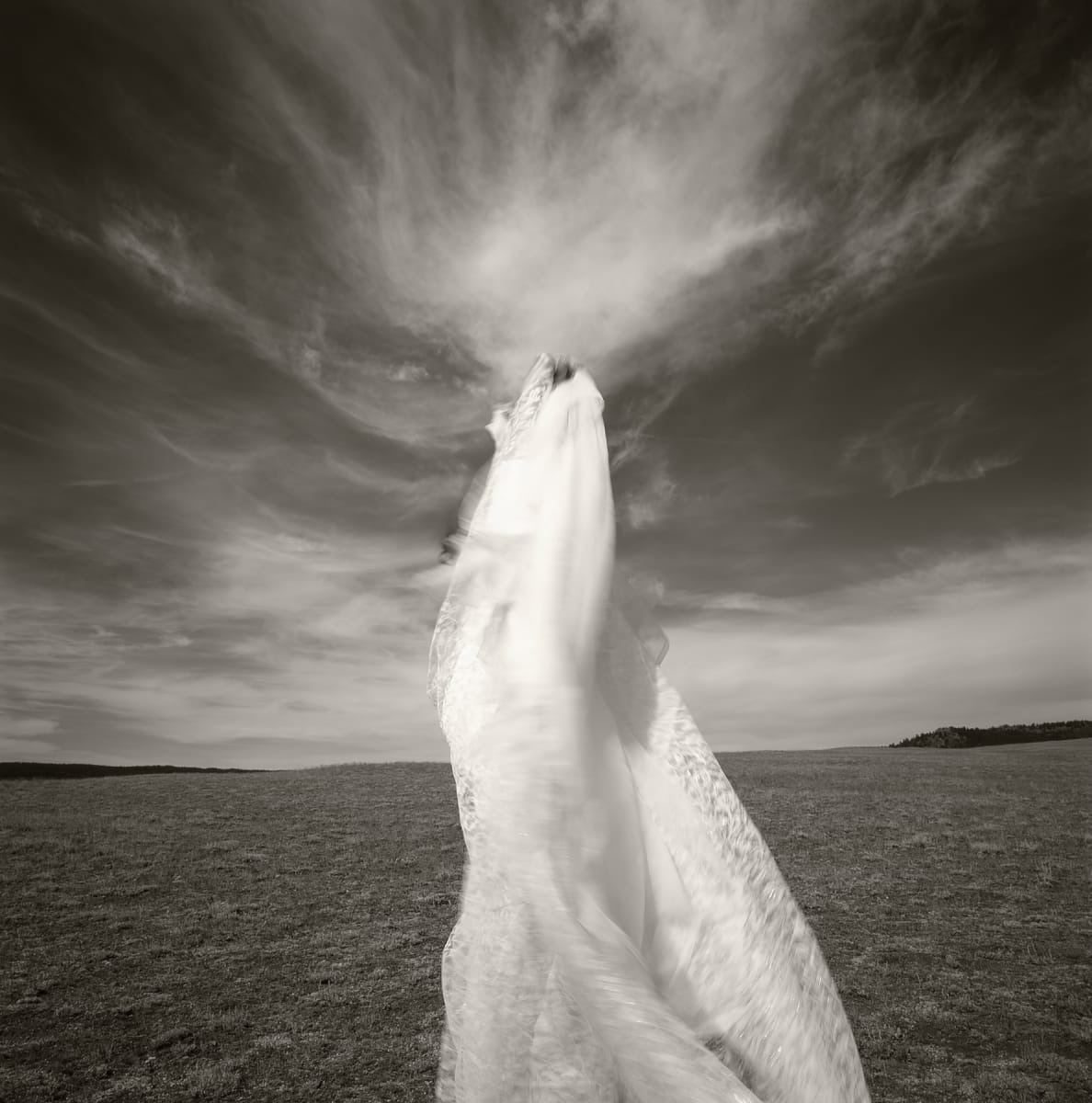 Wyoming | Susan by Susan Moldenhauer, Image 3.
