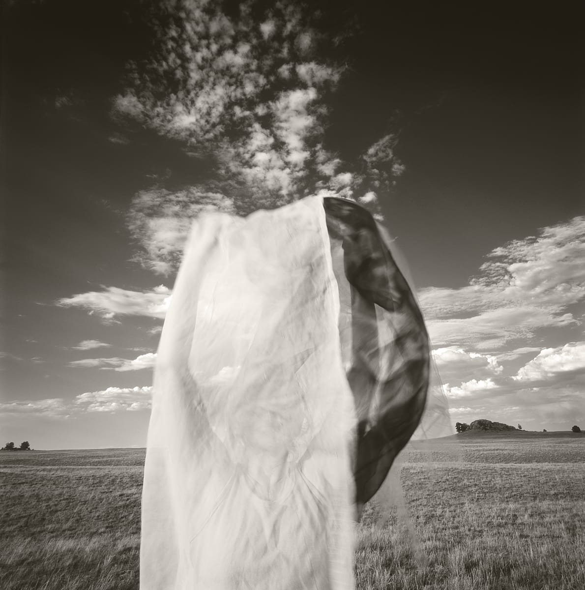 Wyoming | Susan by Susan Moldenhauer, Image 2.