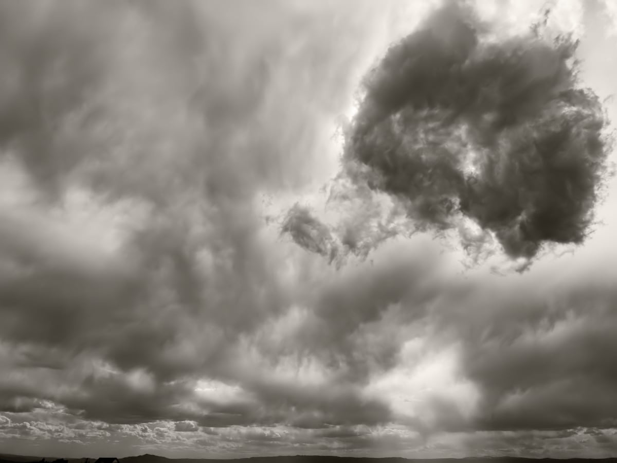 Please scream inside your heart . . .  and not out loud by Susan Moldenhauer, Image 1.