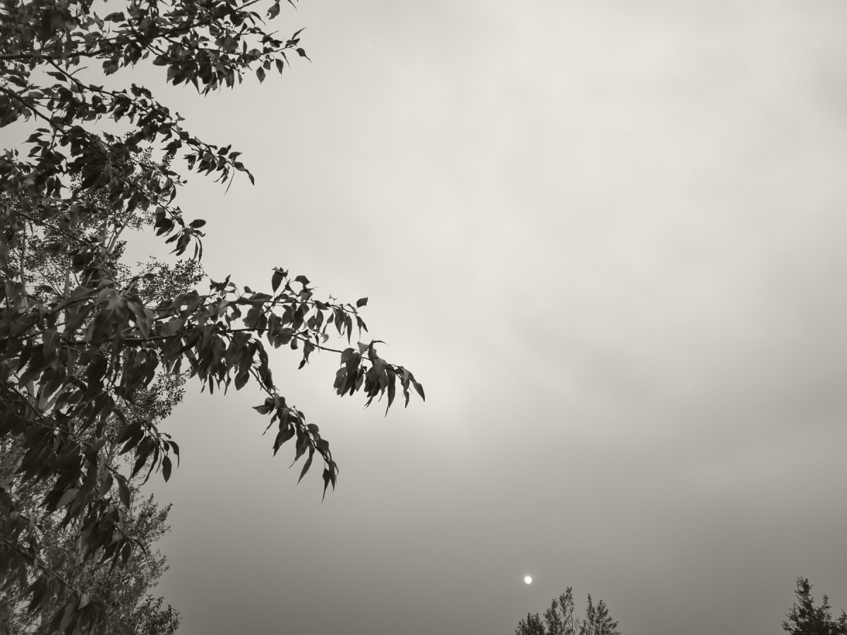 There won't need to be a transfer of power, there will be a continuation., Image 1.