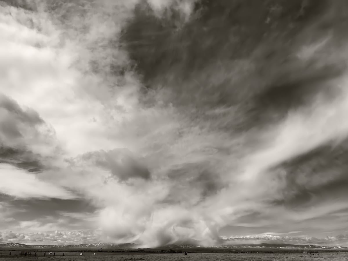 Unleashed, unplugged, unscripted by Susan Moldenhauer, Image 1.