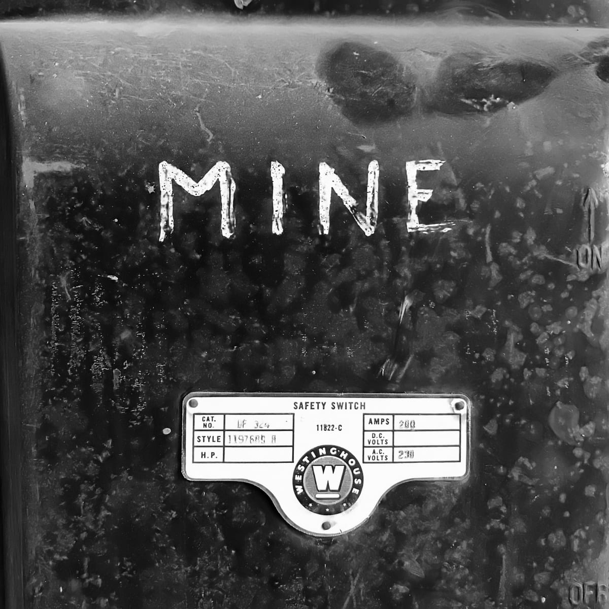 Mine by Susan Moldenhauer 