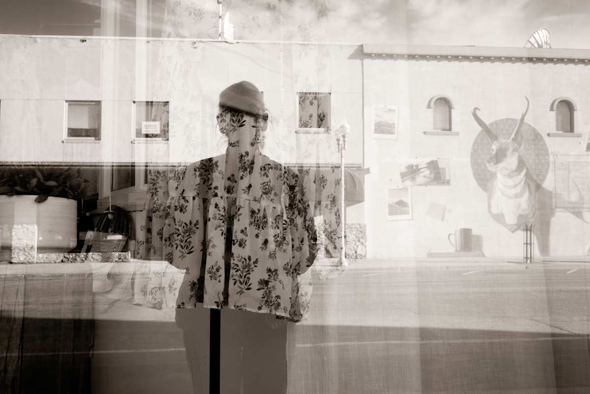 Window Dressing by Susan Moldenhauer 