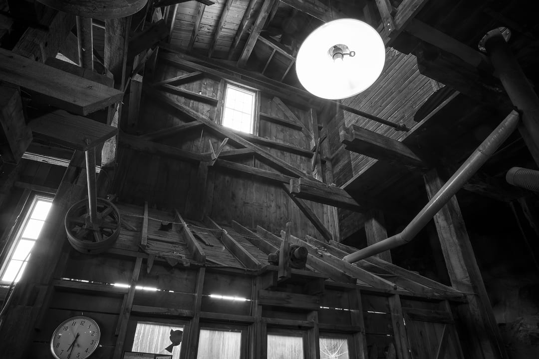 Syncopation by Susan Moldenhauer 