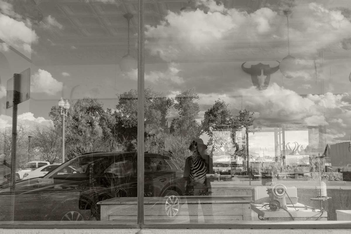 Trophy by Susan Moldenhauer 